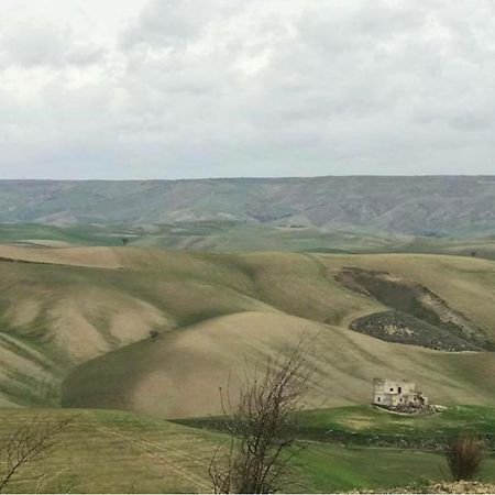 B&B Mantegna Irsina Mt 외부 사진
