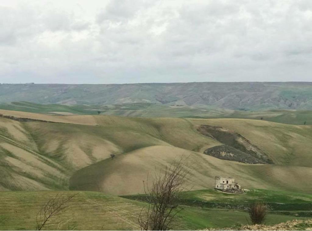 B&B Mantegna Irsina Mt 외부 사진